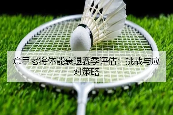 意甲老将体能衰退赛季评估：挑战与应对策略 - Kaiyun Sports